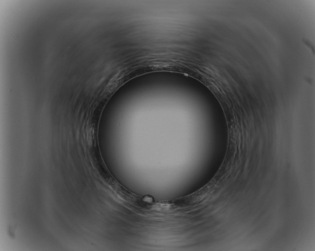 X0000091980227200709061159