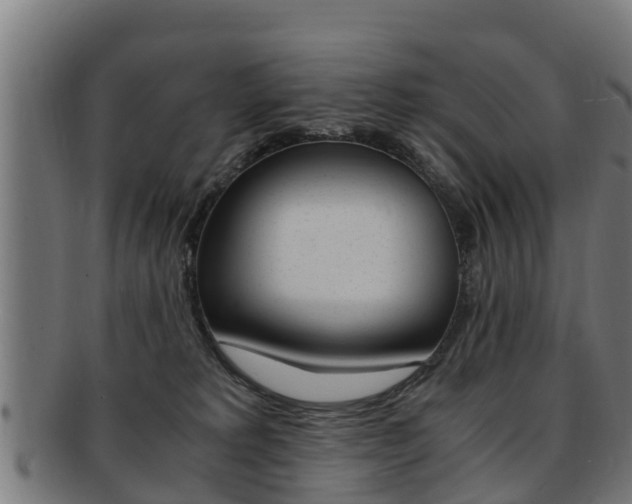X0000091980229200709061159
