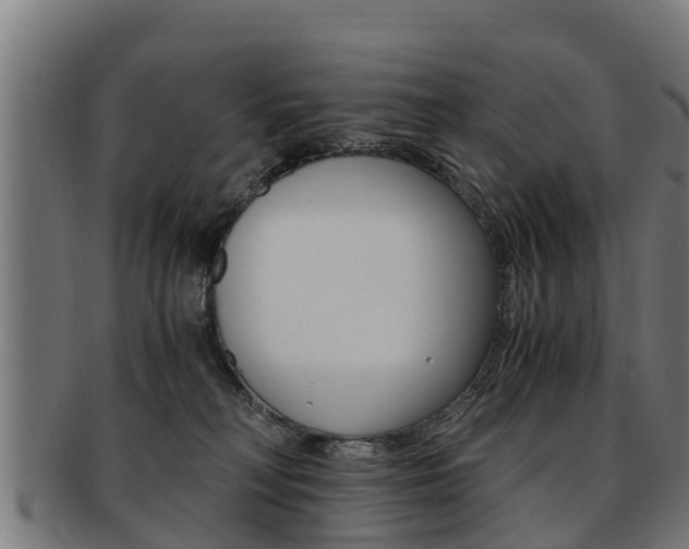 X0000091980230200709061159