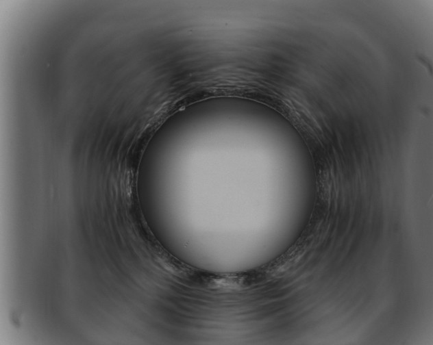 X0000091980232200709061158