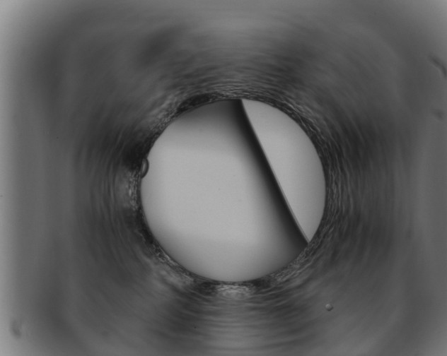 X0000091980234200709061158