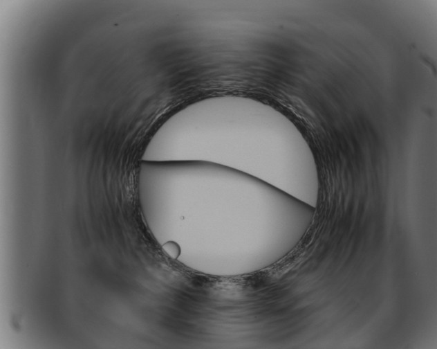 X0000091980236200709061158