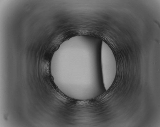 X0000091980238200709061158