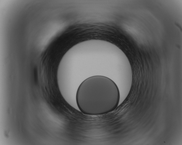 X0000091980239200709061158