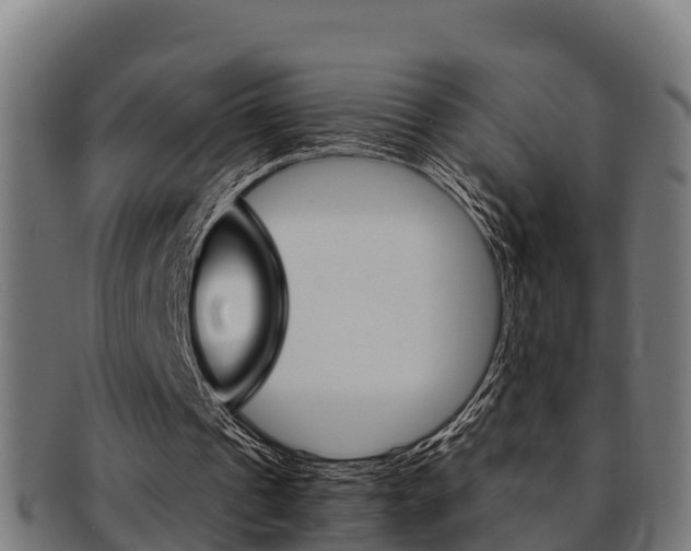 X0000091980241200709061158