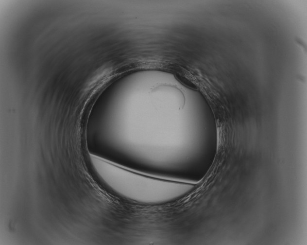 X0000091980243200709061158