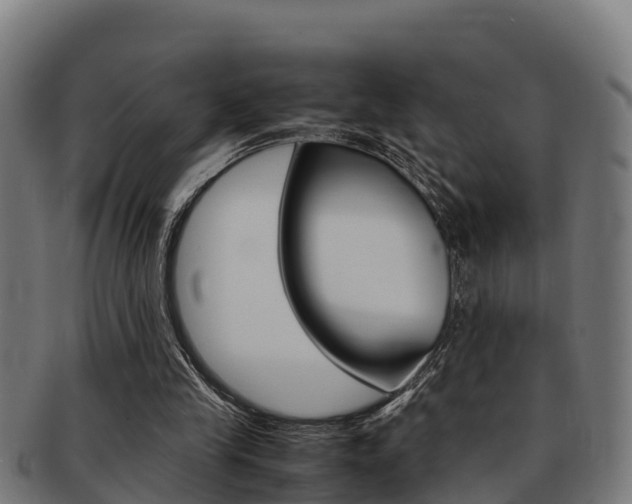 X0000091980245200709061158