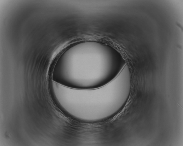 X0000091980246200709061158