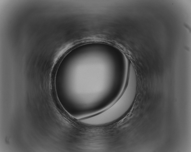 X0000091980248200709061158