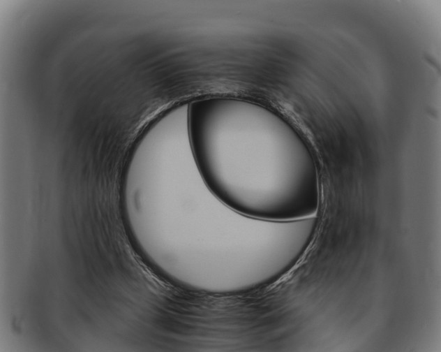 X0000091980249200709061158