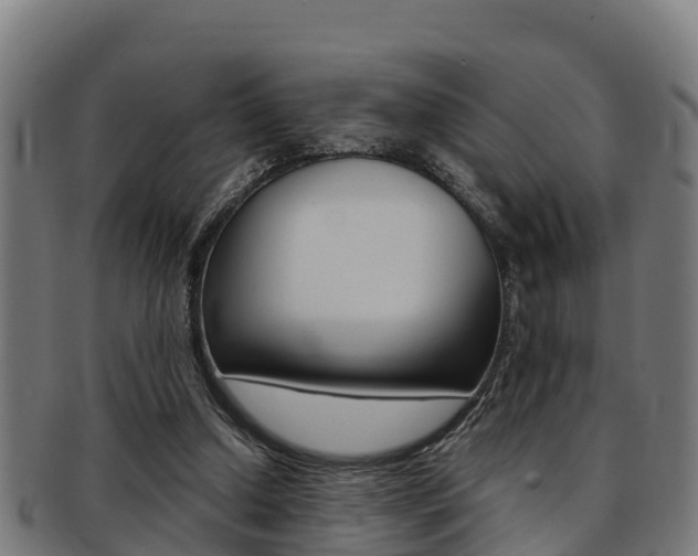 X0000091980250200709061158