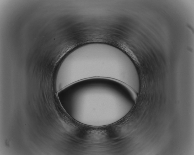 X0000091980251200709061158