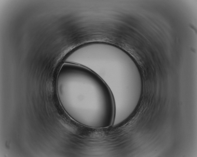 X0000091980252200709061158