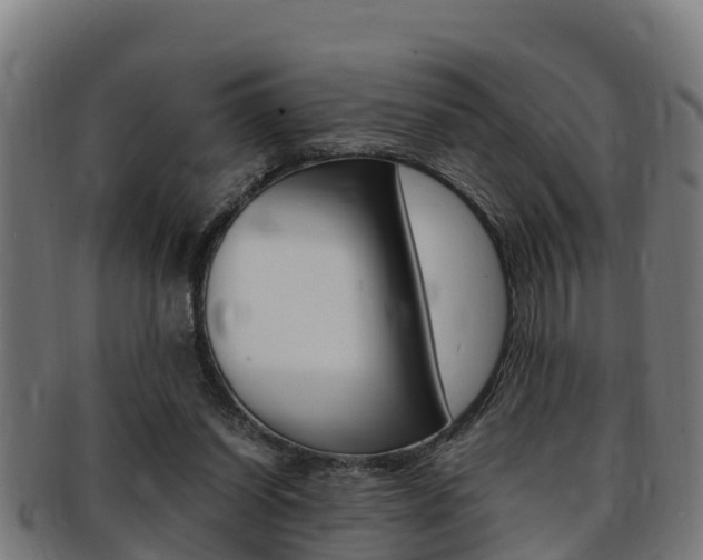 X0000091980254200709061158