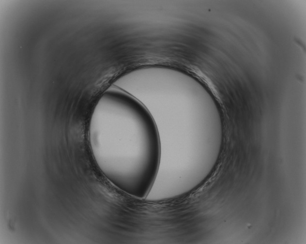 X0000091980257200709061158