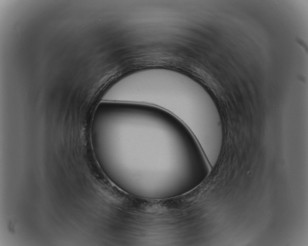 X0000091980258200709061158