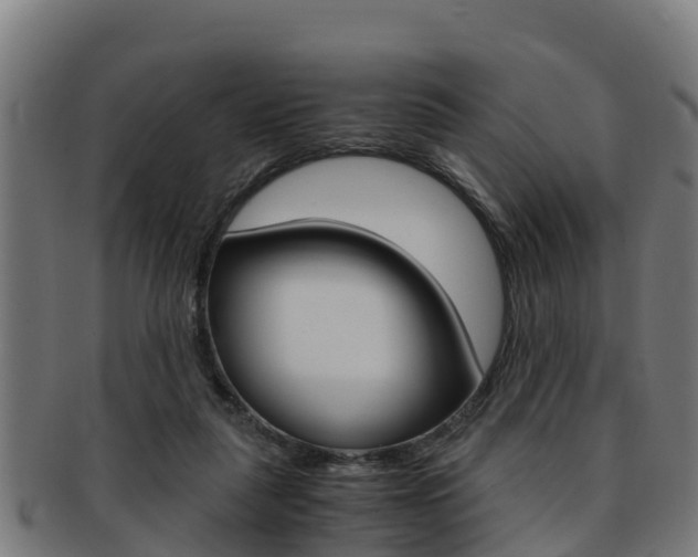 X0000091980259200709061158