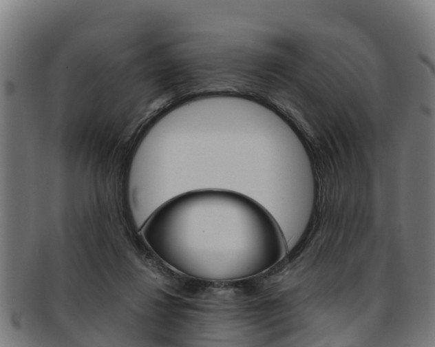 X0000091980260200709061158
