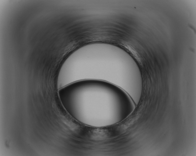 X0000091980261200709061158