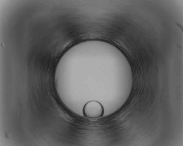 X0000091980264200709061158