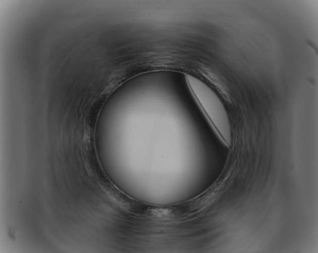 X0000091980265200709061158