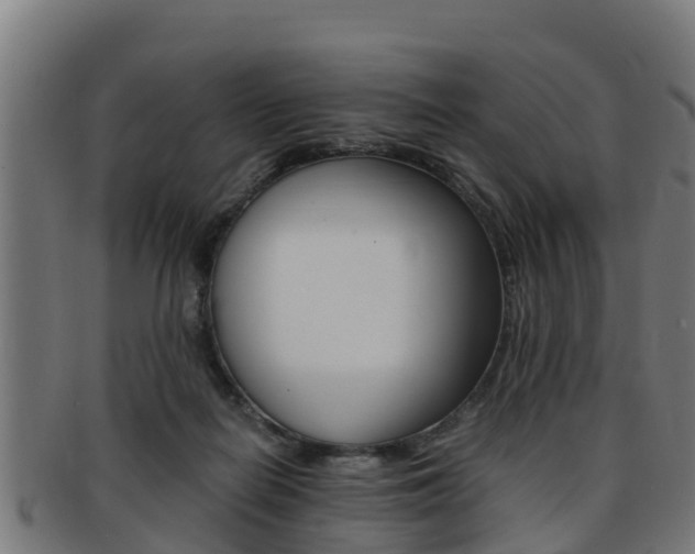 X0000091980266200709061158