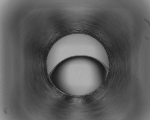 X0000091980272200709061158