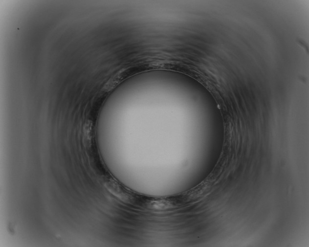 X0000091980275200709061158