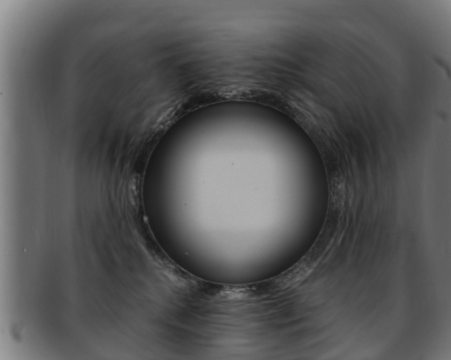 X0000091980280200709061158