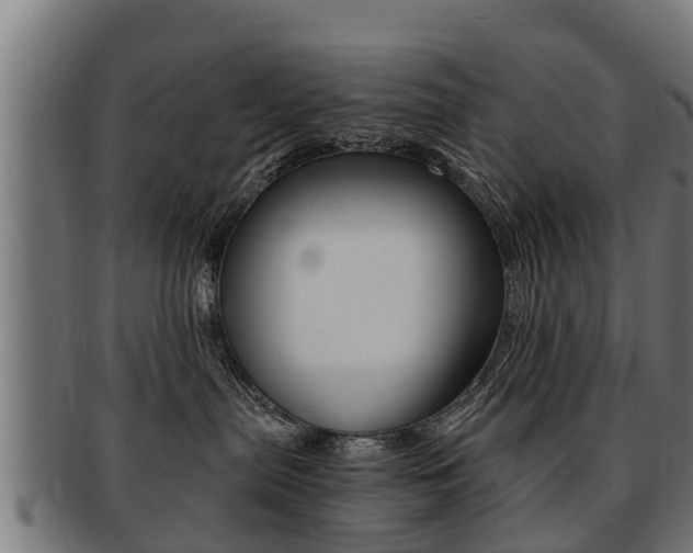 X0000091980287200709061158