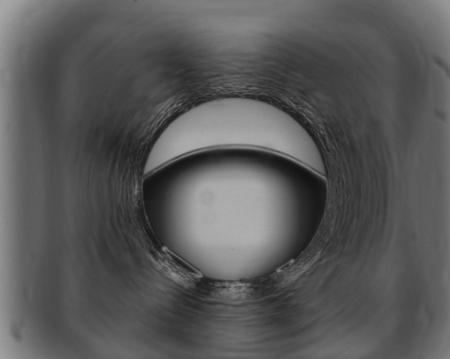 X0000091980288200709061158