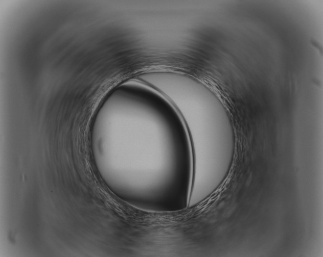 X0000091980289200709061158