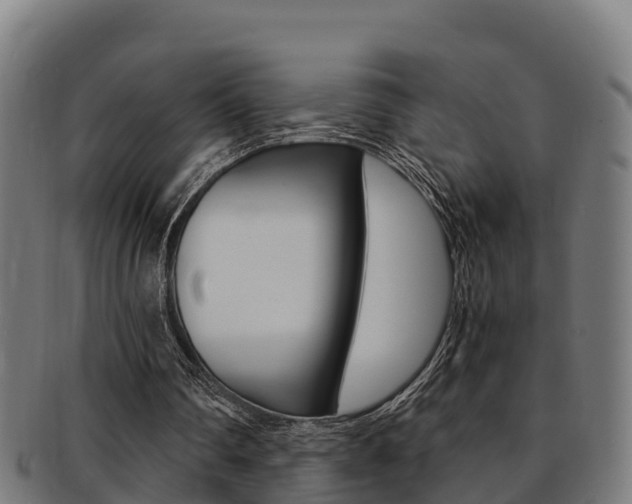 X0000091980290200709061158