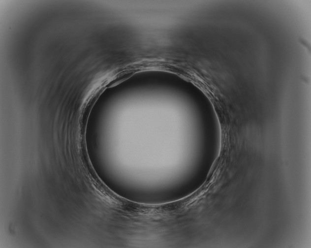 X0000091980293200709061158