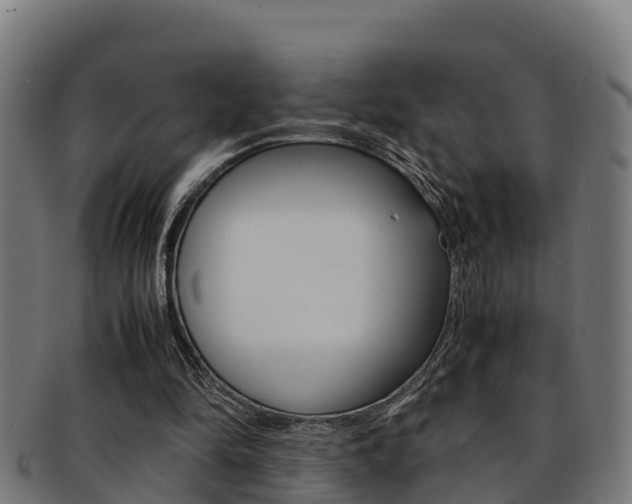 X0000091980294200709061158