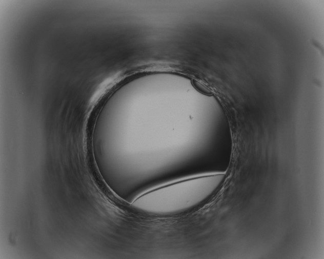 X0000091980296200709061158