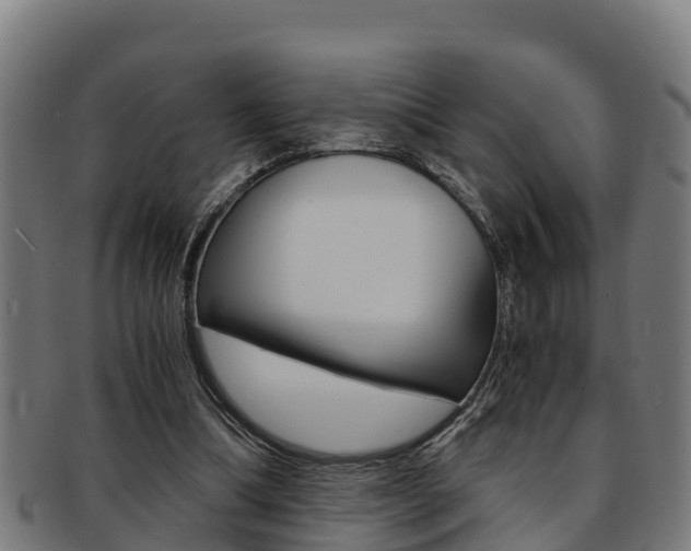 X0000091980298200709061158