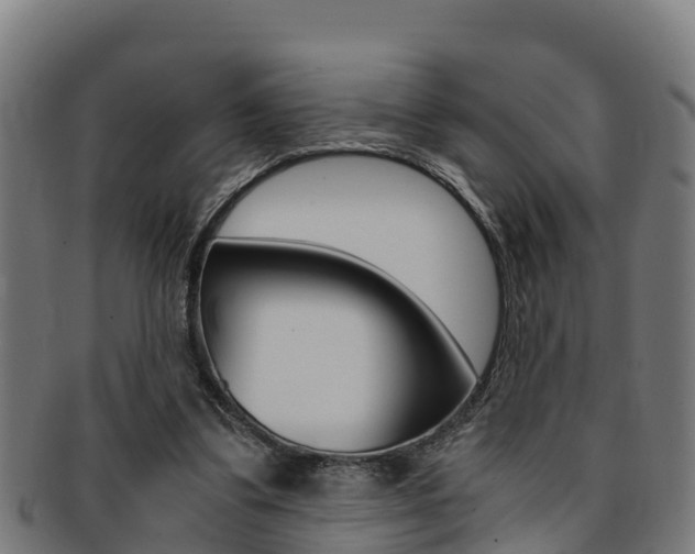 X0000091980299200709061158
