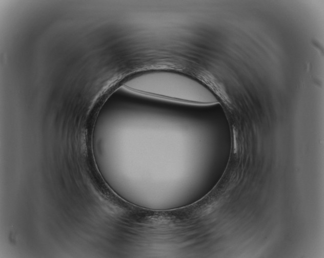 X0000091980300200709061158