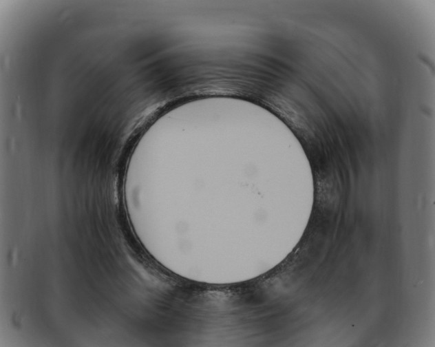 X0000091980302200709061158