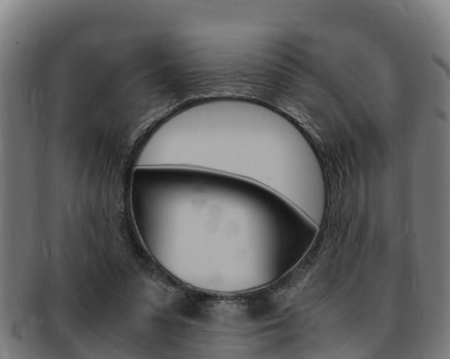 X0000091980303200709061158