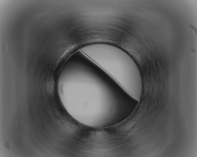 X0000091980304200709061158