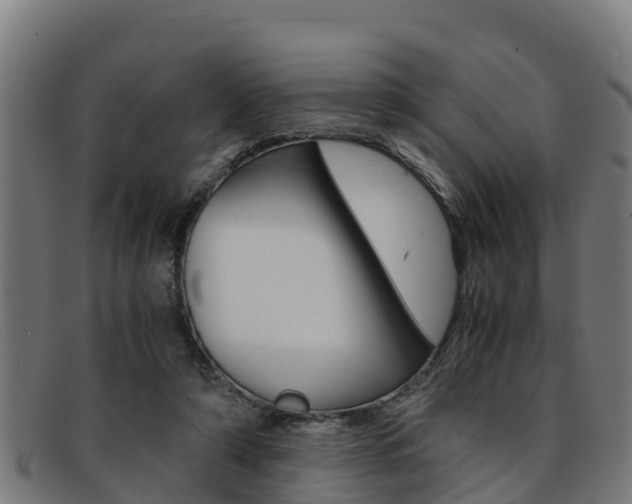 X0000091980306200709061158