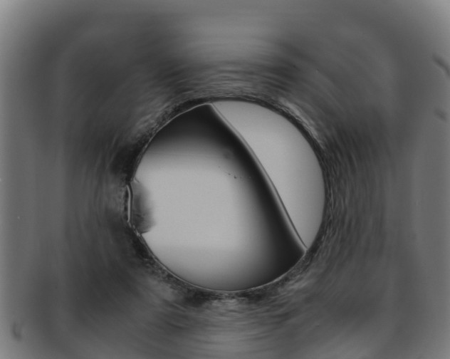 X0000091980307200709061158