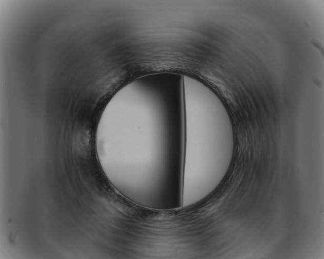 X0000091980308200709061158
