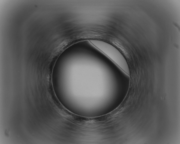 X0000091980309200709061158