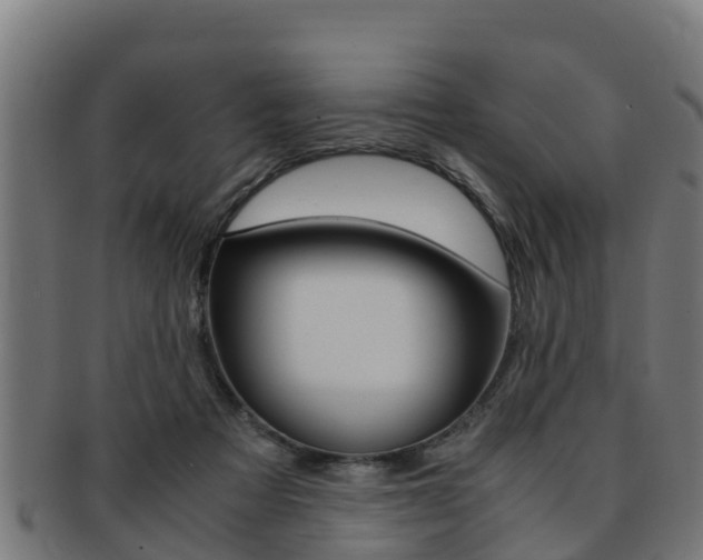 X0000091980313200709061158