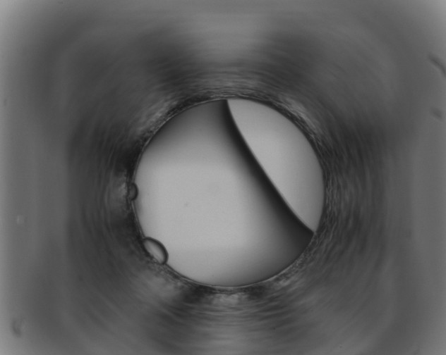 X0000091980314200709061158