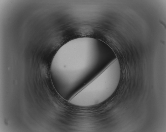 X0000091980316200709061157