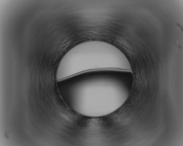 X0000091980320200709061157